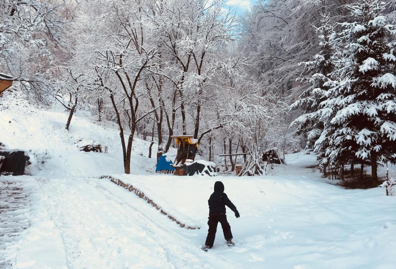 Soho Lodge Rasnov Dış mekan fotoğraf