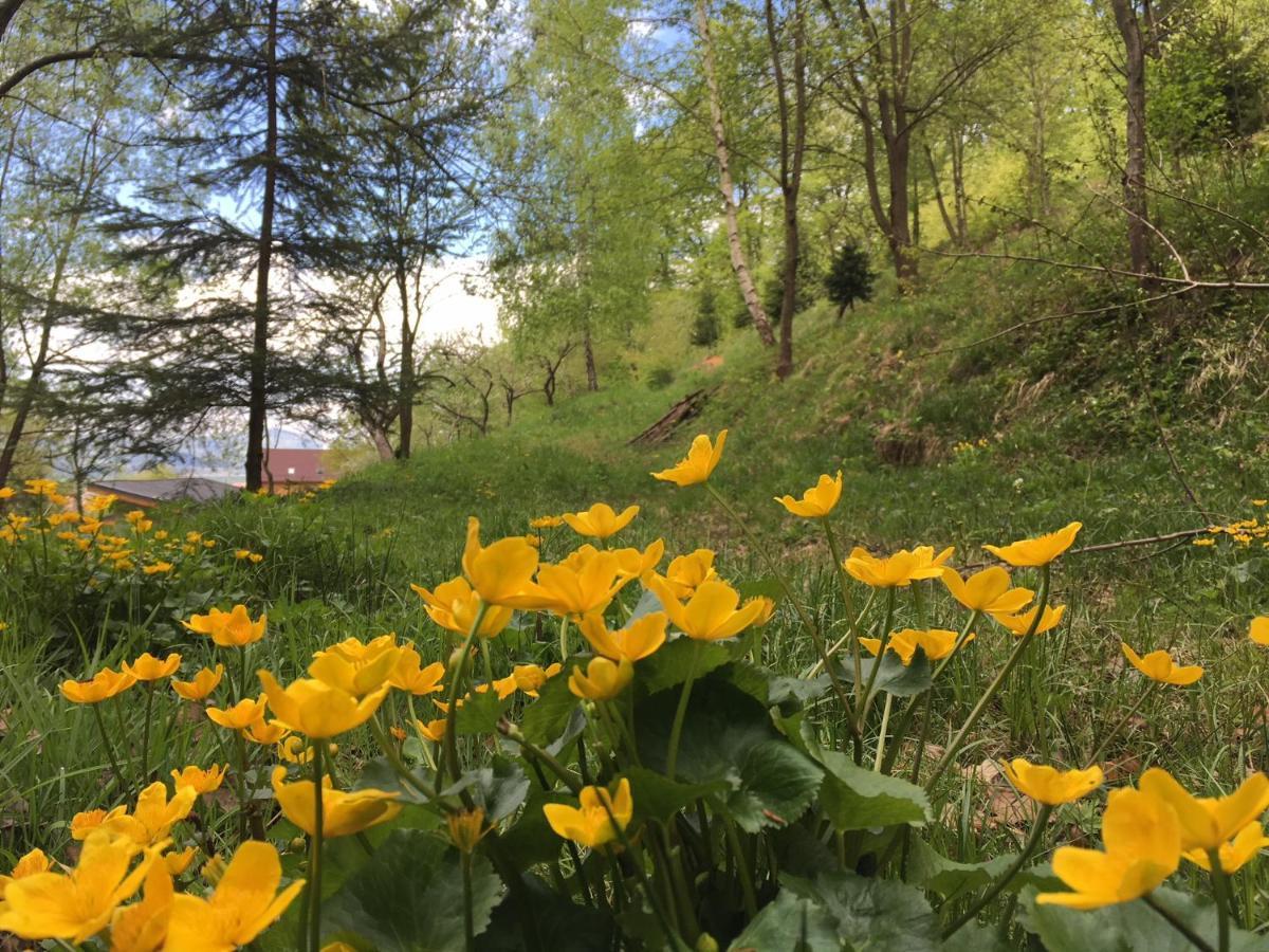 Soho Lodge Rasnov Dış mekan fotoğraf
