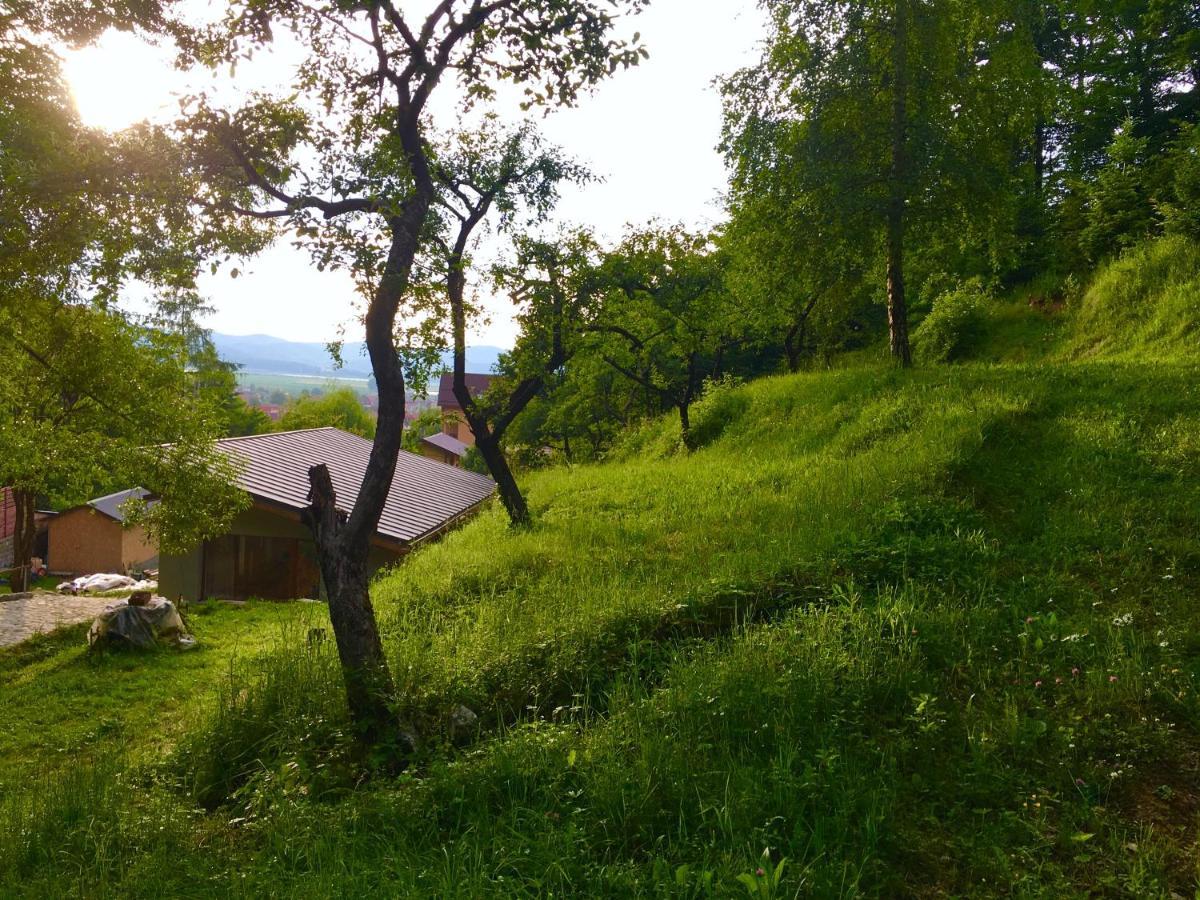 Soho Lodge Rasnov Dış mekan fotoğraf
