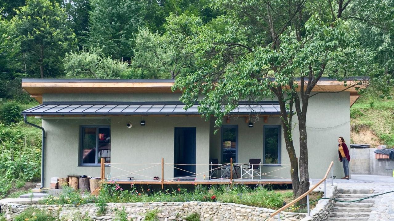 Soho Lodge Rasnov Dış mekan fotoğraf