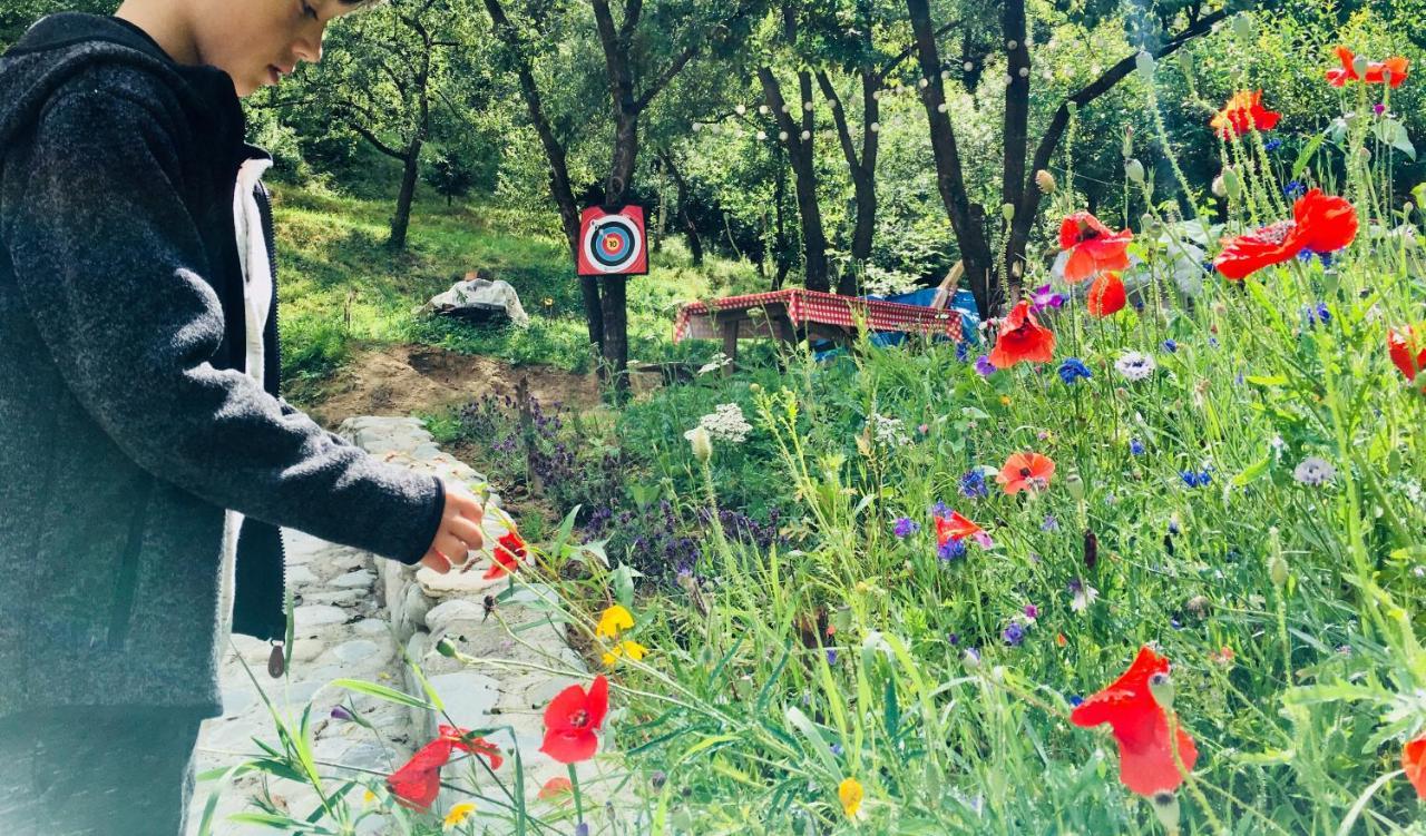 Soho Lodge Rasnov Dış mekan fotoğraf