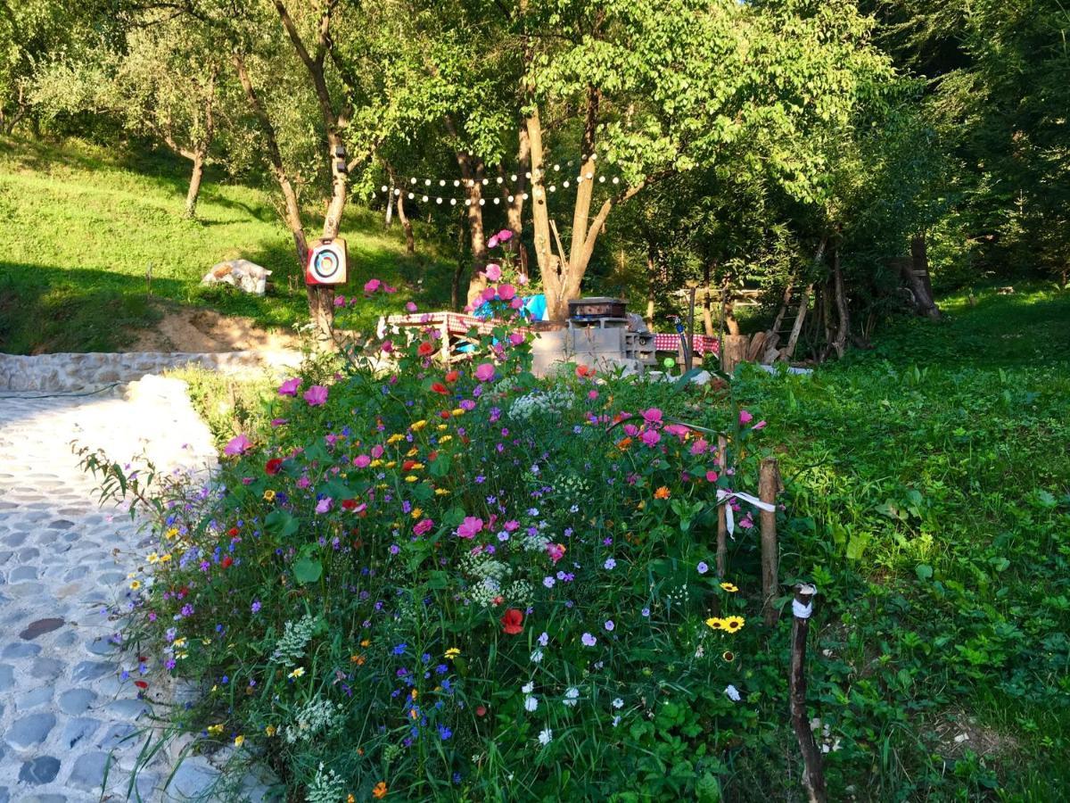 Soho Lodge Rasnov Dış mekan fotoğraf