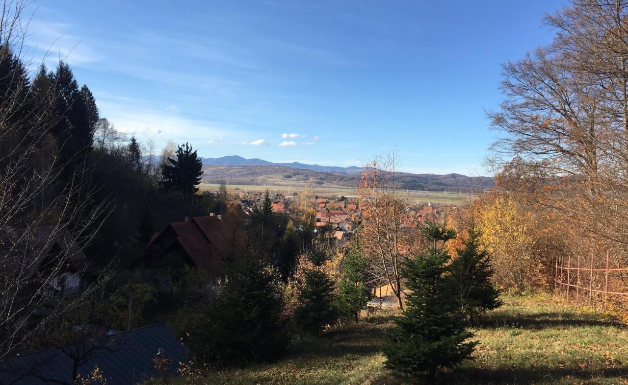 Soho Lodge Rasnov Dış mekan fotoğraf