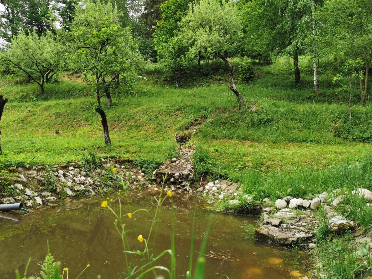 Soho Lodge Rasnov Dış mekan fotoğraf