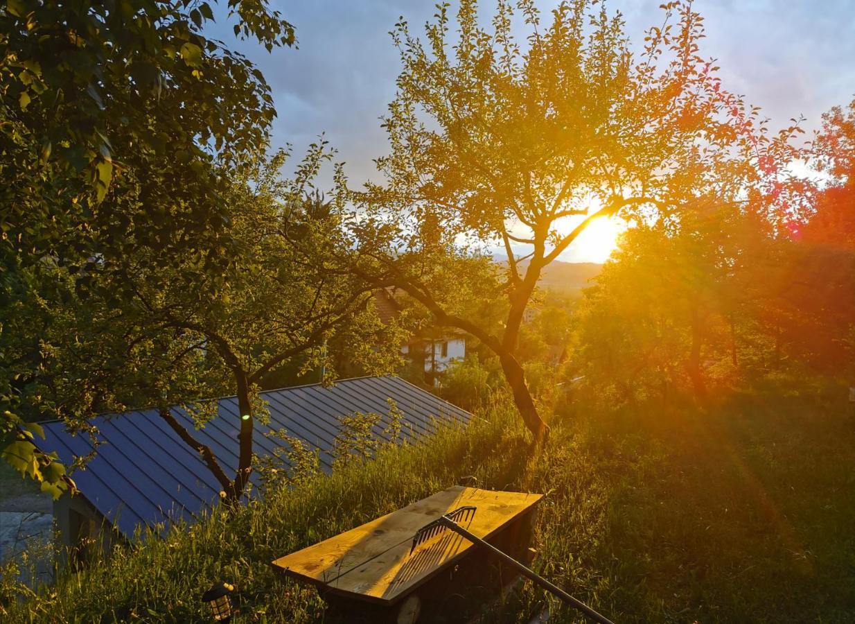 Soho Lodge Rasnov Dış mekan fotoğraf