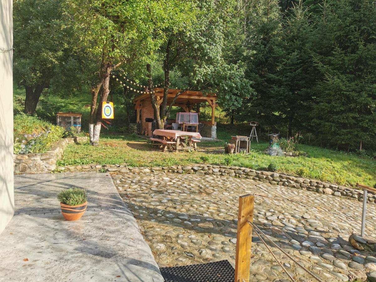 Soho Lodge Rasnov Dış mekan fotoğraf