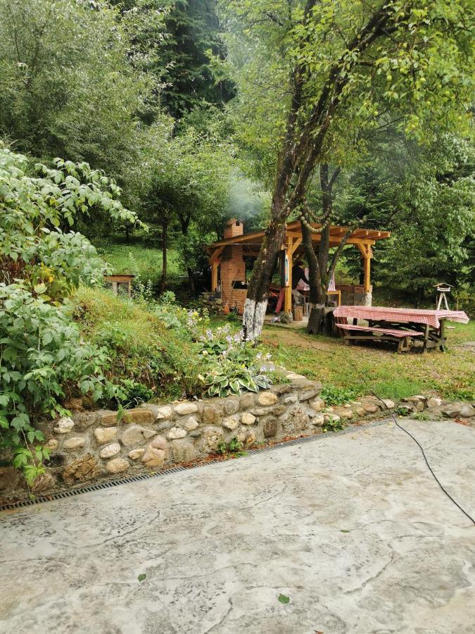 Soho Lodge Rasnov Dış mekan fotoğraf