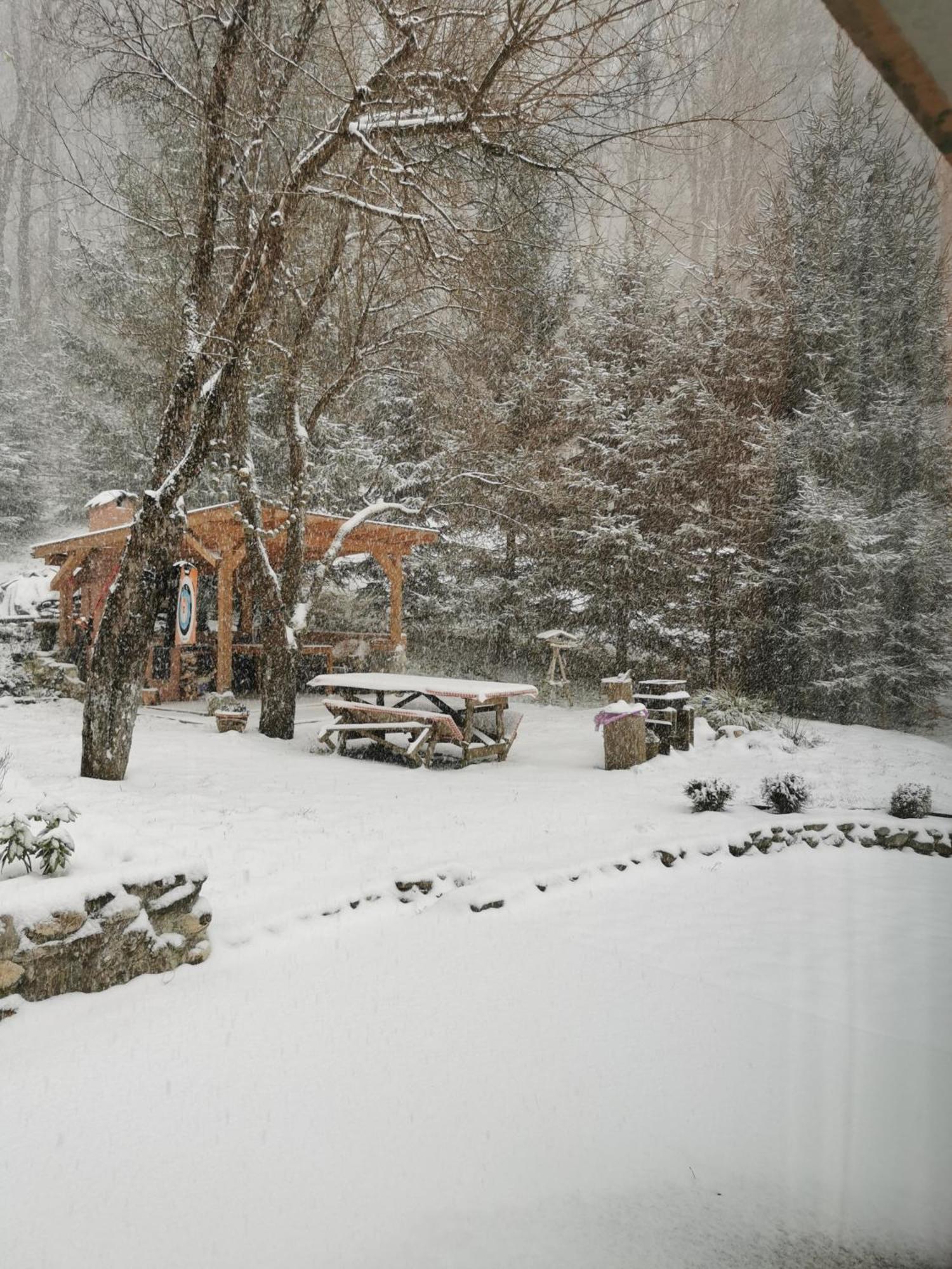 Soho Lodge Rasnov Dış mekan fotoğraf